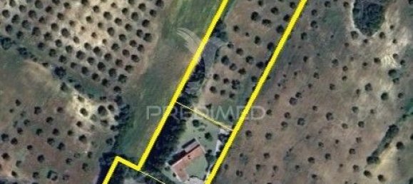 4 bedrooms House in Santarem, Portugal No. 124977 28