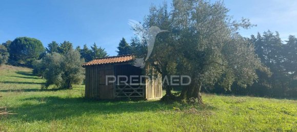 4 bedrooms House in Santarem, Portugal No. 124977 26