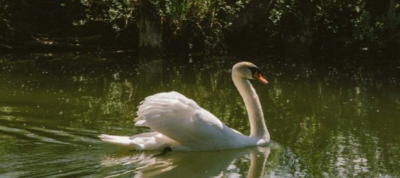 قطعة أرض في Seekirchen am Wallersee, Austria 573متر مربع رقم 162497 7