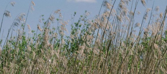 قطعة أرض في Seekirchen am Wallersee, Austria 573متر مربع رقم 162497 6