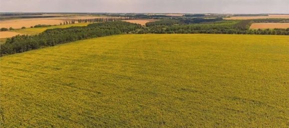 Земельный участок 3211м² в Фарра ди Солиго, Италия № 286302 4