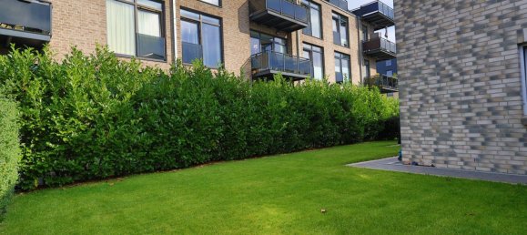 10 rooms Townhouse in Flensburg, Germany No. 371512 5