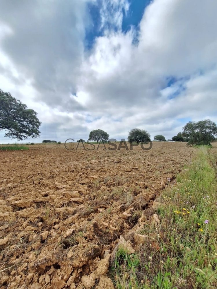  Land in Porto, Portugal No. 258995