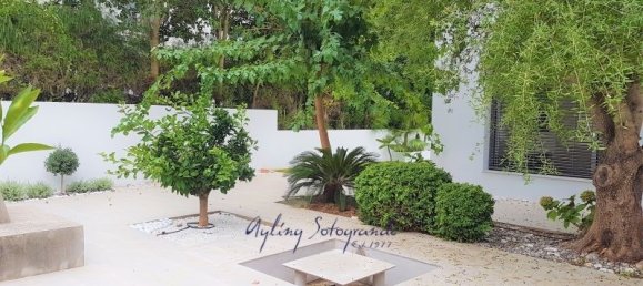 5 غرف نوم منزل في Cadiz, Spain رقم 29204 42