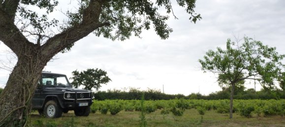 Замки и поместья с 7 спальнями в Жьен, Франция № 254302 14