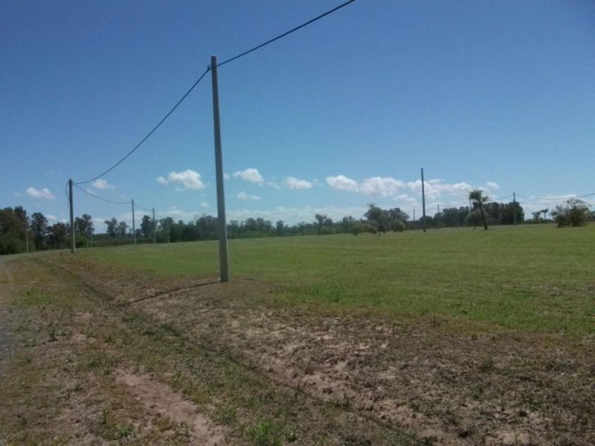  Land in Santa Fe, Argentina No. 39804