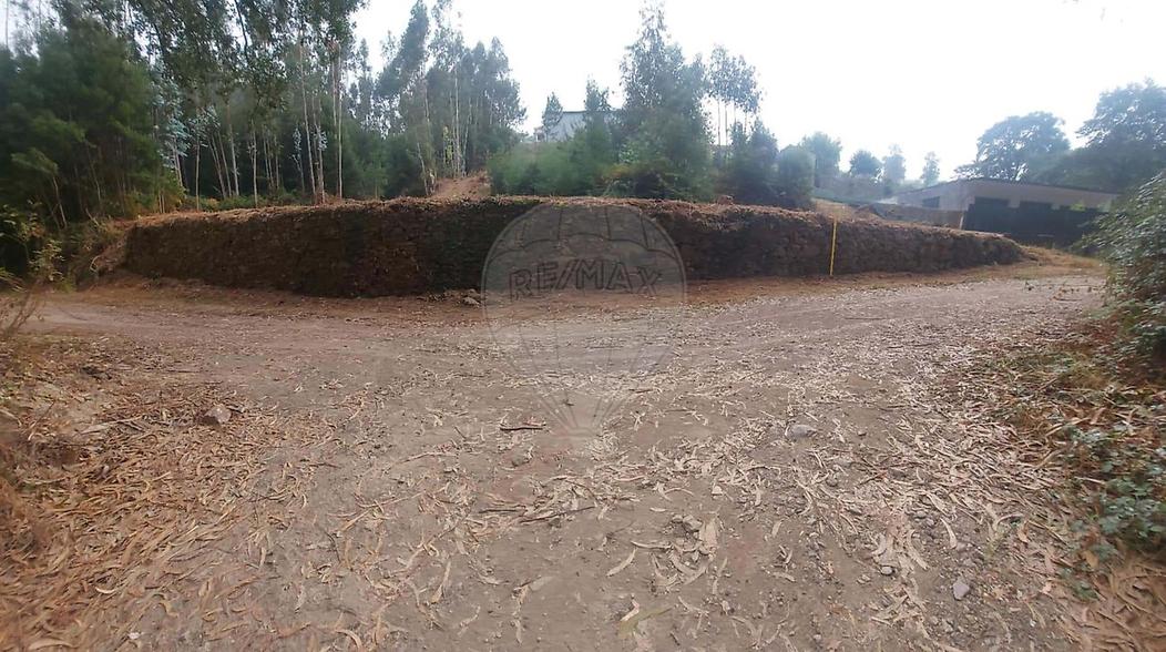  Land in Vila de Cucujaes, Portugal No. 298212