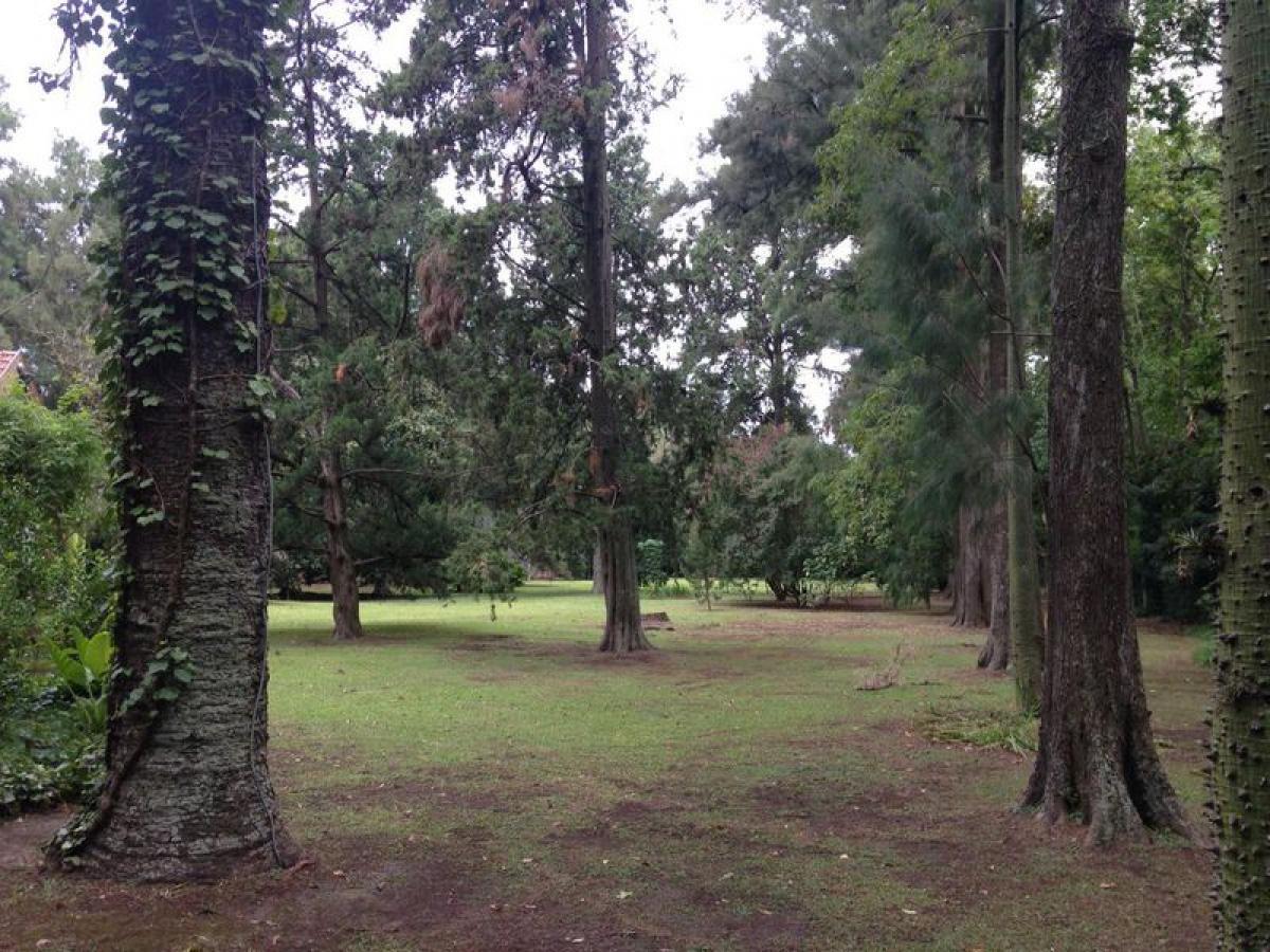 Terreno en Pilar, Argentina No. 42253