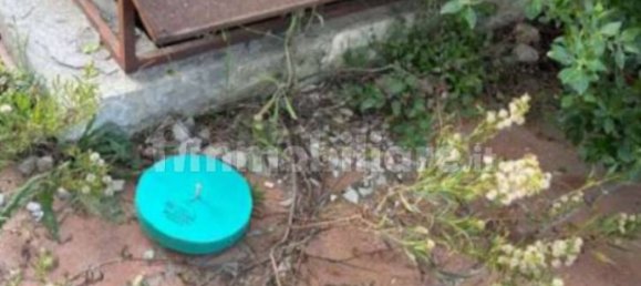 Edificio de 5 habitaciónes en Nardò, Italy No. 285775 6