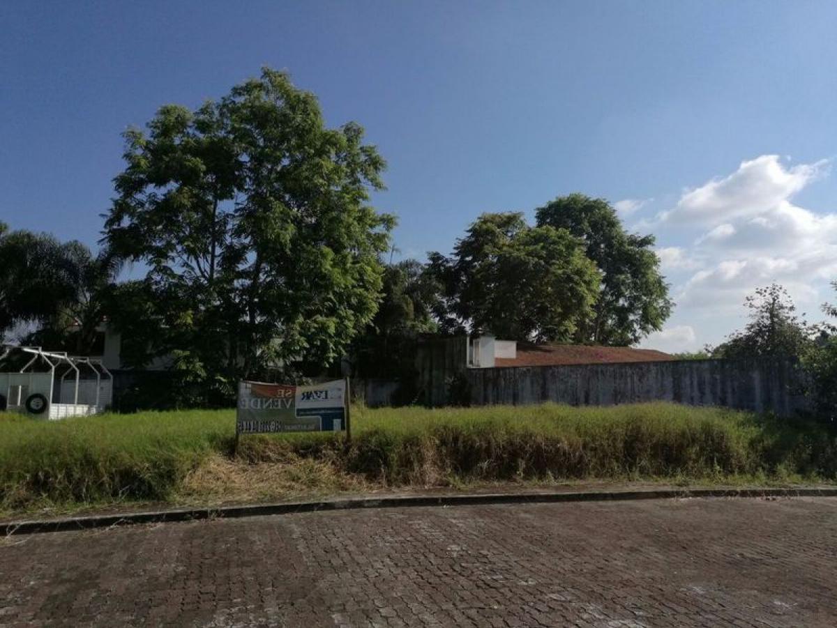 Земельный участок в Веракрус, Мексика № 205680