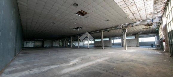 3065m² Warehouse in San Giorgio Monferrato, Italy No. 279005 17