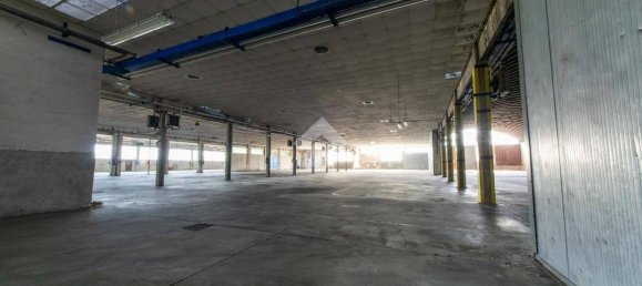 3065m² Warehouse in San Giorgio Monferrato, Italy No. 279005 15