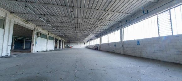 3065m² Warehouse in San Giorgio Monferrato, Italy No. 279005 19