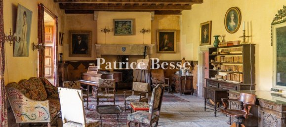 10 bedrooms Castles in Lozere, France No. 356251 6