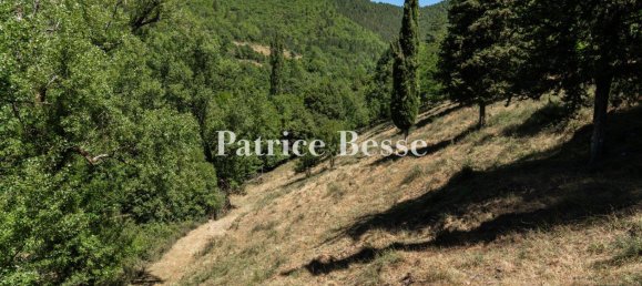 10 bedrooms Castles in Lozere, France No. 356251 15