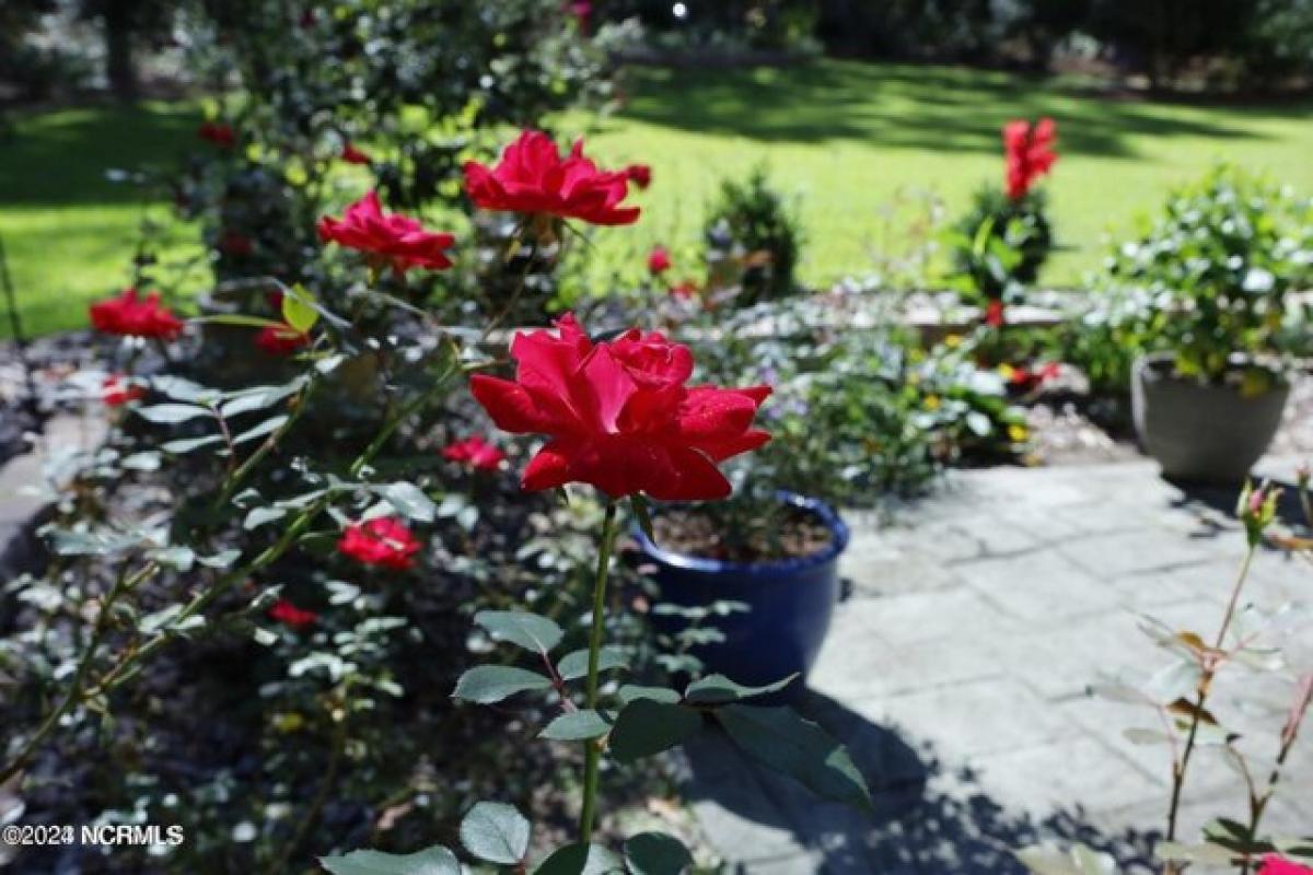 Casa de 6 dormitorios en Southern Pines, USA No. 440982