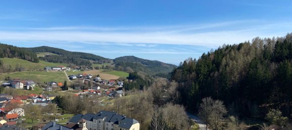 Grundstück in Reichenau im Mühlkreis, Austria, Nr. 130742 2