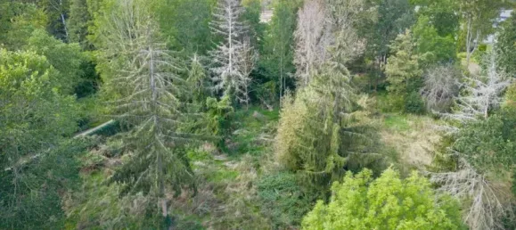  Land in Jerichower Land, Germany No. 343887 6