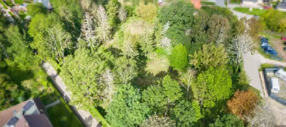  Land in Jerichower Land, Germany No. 343887 2