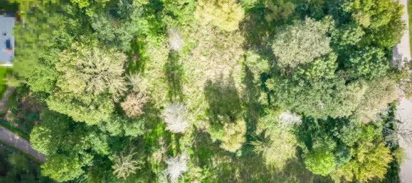  Land in Jerichower Land, Germany No. 343887 4