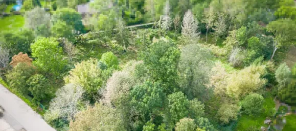  Land in Jerichower Land, Germany No. 343887 5