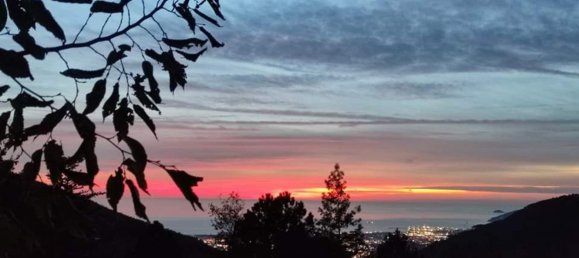 6-Zimmer Haus in Massa, Italy, Nr. 167115 3