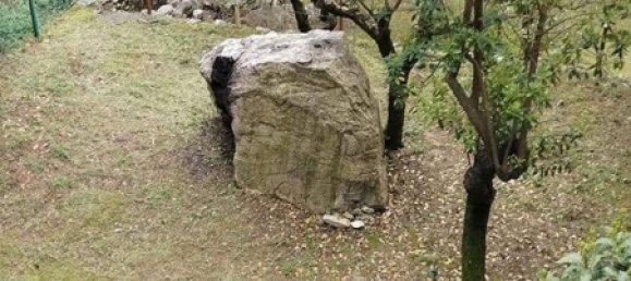 6-Zimmer Haus in Massa, Italy, Nr. 167115 16