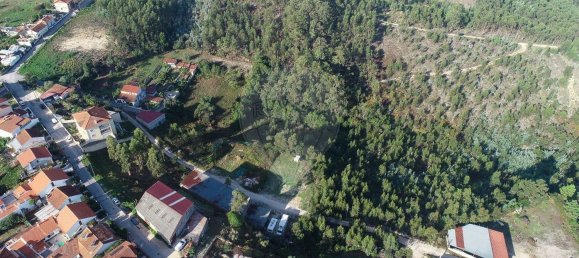 503m² Warehouse in Coimbra, Portugal No. 67369 7