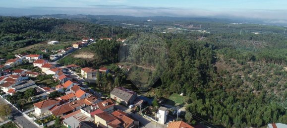 503m² Warehouse in Coimbra, Portugal No. 67369 12