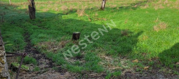  Land in Fouligny, France No. 78401 3