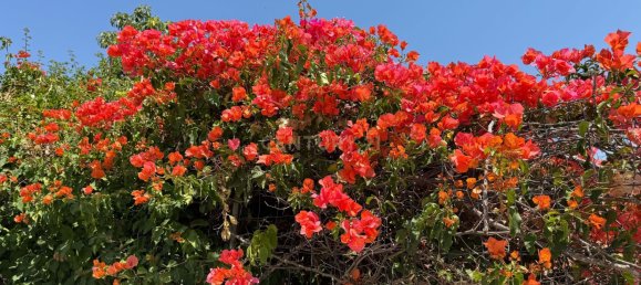 3 Schlafzimmer Villa in Lisbon, Portugal, Nr. 265433 26