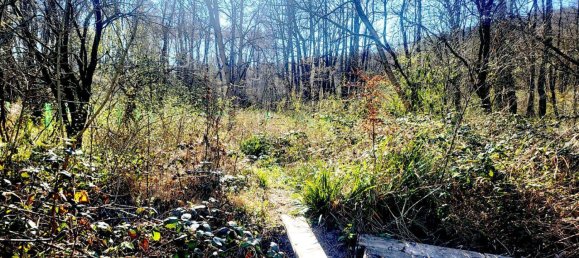 10 rooms House in Breitenfurt bei Wien, Austria No. 171758 24