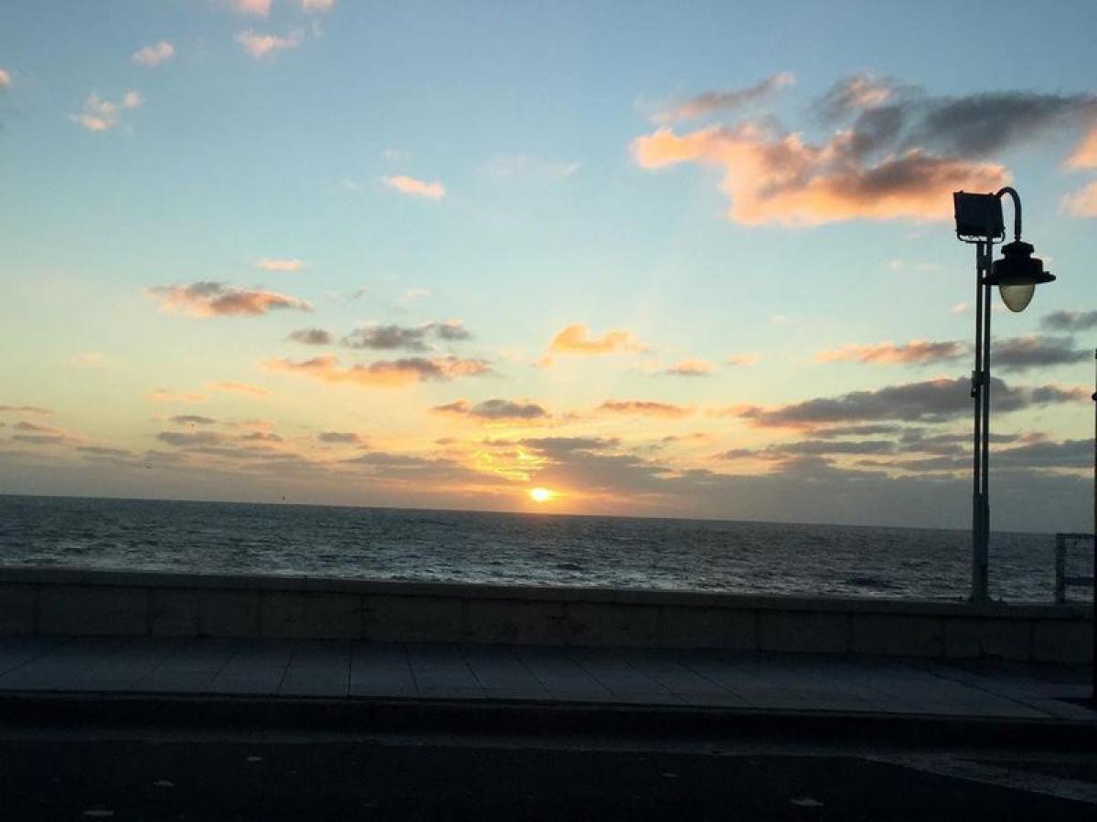  فندق في Mar del Plata, Argentina 1350متر مربع رقم 109459