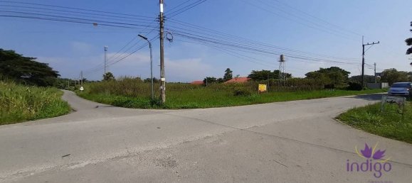  Land in San Pa Tong, Thailand No. 5218 2