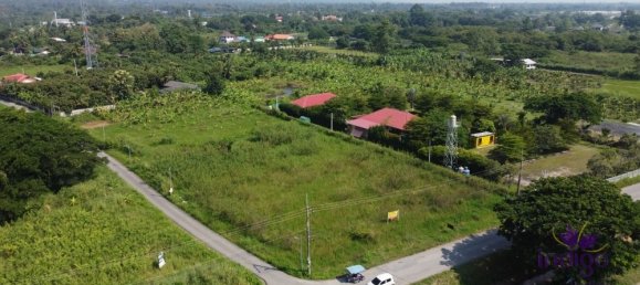  Land in San Pa Tong, Thailand No. 5218 8