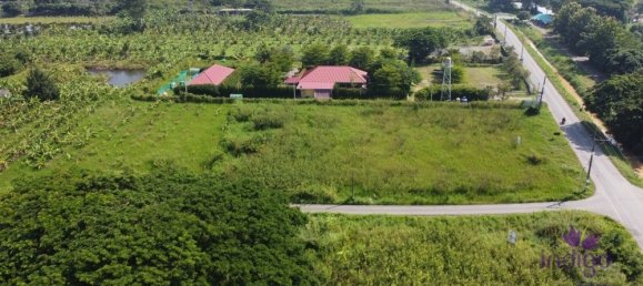  Land in San Pa Tong, Thailand No. 5218 7