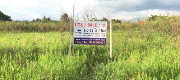  Land in San Pa Tong, Thailand No. 5218 4