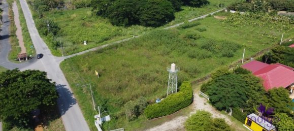  Land in San Pa Tong, Thailand No. 5218 6