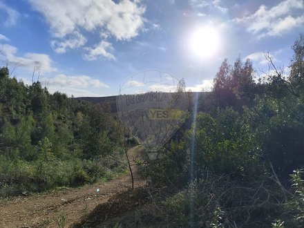 112500m² Land in Marmelete, Portugal No. 43213