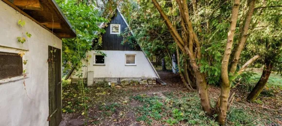  Land in Schmockwitz, Germany No. 95920 5