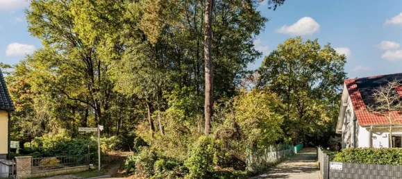  Land in Schmockwitz, Germany No. 95920 11