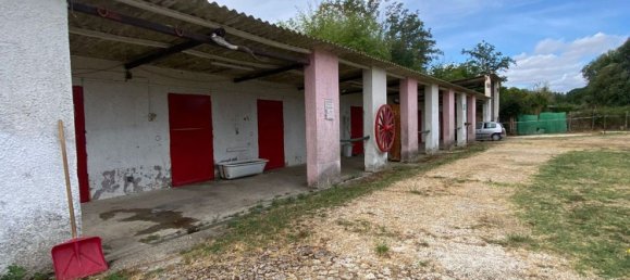 8000m² Commercial property in Castelnuovo di Porto, Italy No. 345202 31