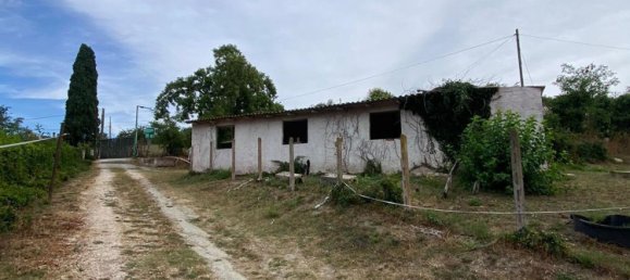 8000m² Commercial property in Castelnuovo di Porto, Italy No. 345202 4