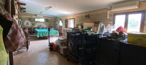 8000m² Commercial property in Castelnuovo di Porto, Italy No. 345202 17