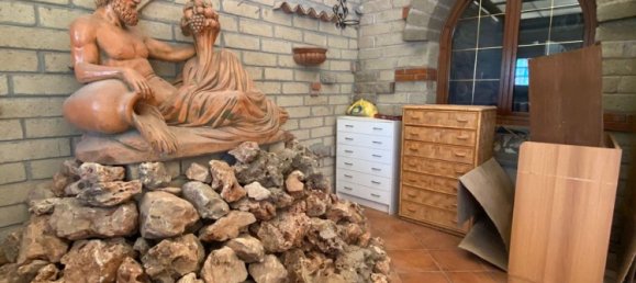 8000m² Commercial property in Castelnuovo di Porto, Italy No. 345202 23