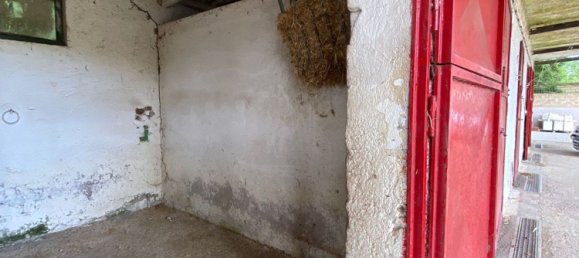 8000m² Commercial property in Castelnuovo di Porto, Italy No. 345202 28