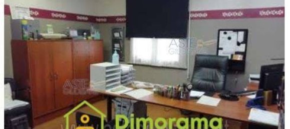 3 rooms Commercial property in Rimini, Italy No. 11482 6
