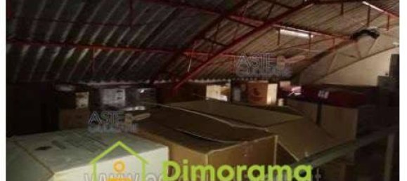 3 rooms Commercial property in Rimini, Italy No. 11482 5