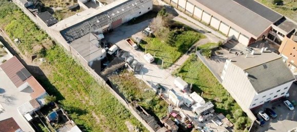  Land in Madalena, Portugal No. 33603 11