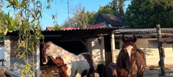 Ферма с 2 спальнями в Обербергиш, Германия № 336486 4